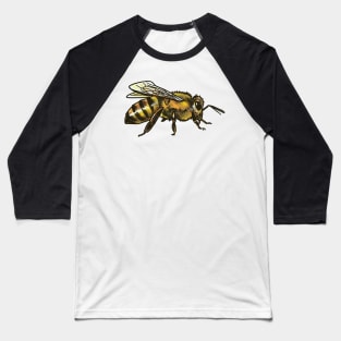 Honeybee Baseball T-Shirt